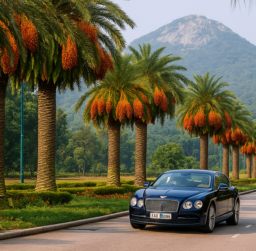 Luxury car driving through palm-lined street near mountains